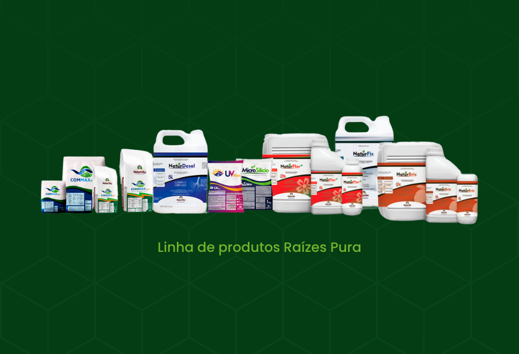 Linha de Produtos